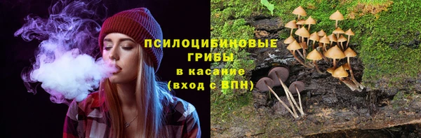 PSILOCYBIN Арсеньев