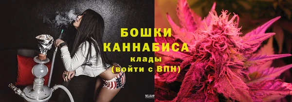 PSILOCYBIN Арсеньев