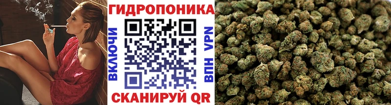 Марихуана MAZAR  купить закладку  Макарьев 